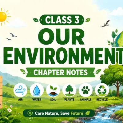 Class 3 Our Environment Chapter Notes in Simple English